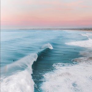 Meet your Posher, Annie